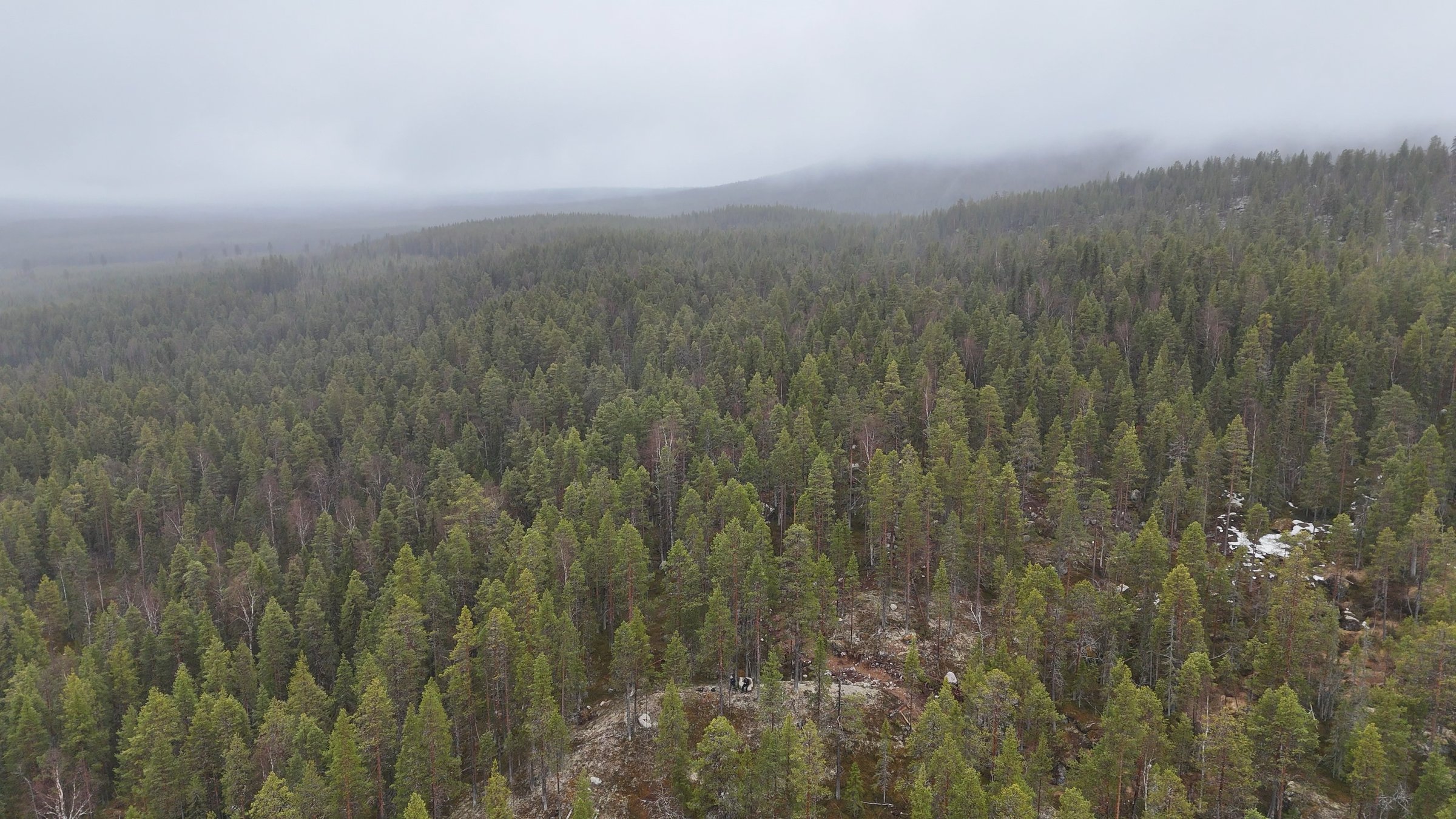 Vy över Stortjärnhobben i dimma