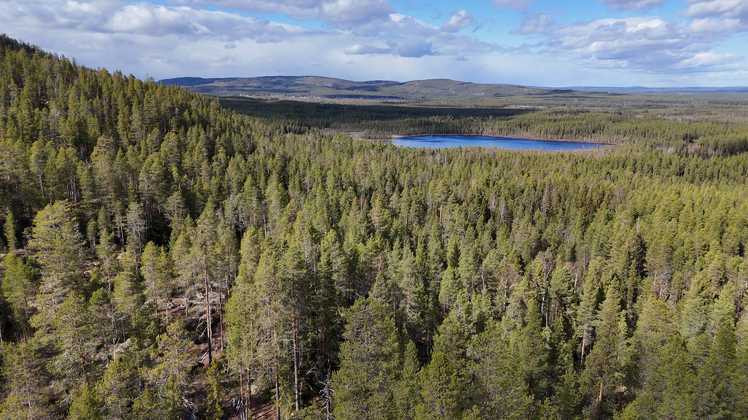 Stortjärnhobben sommarfläck från drönare