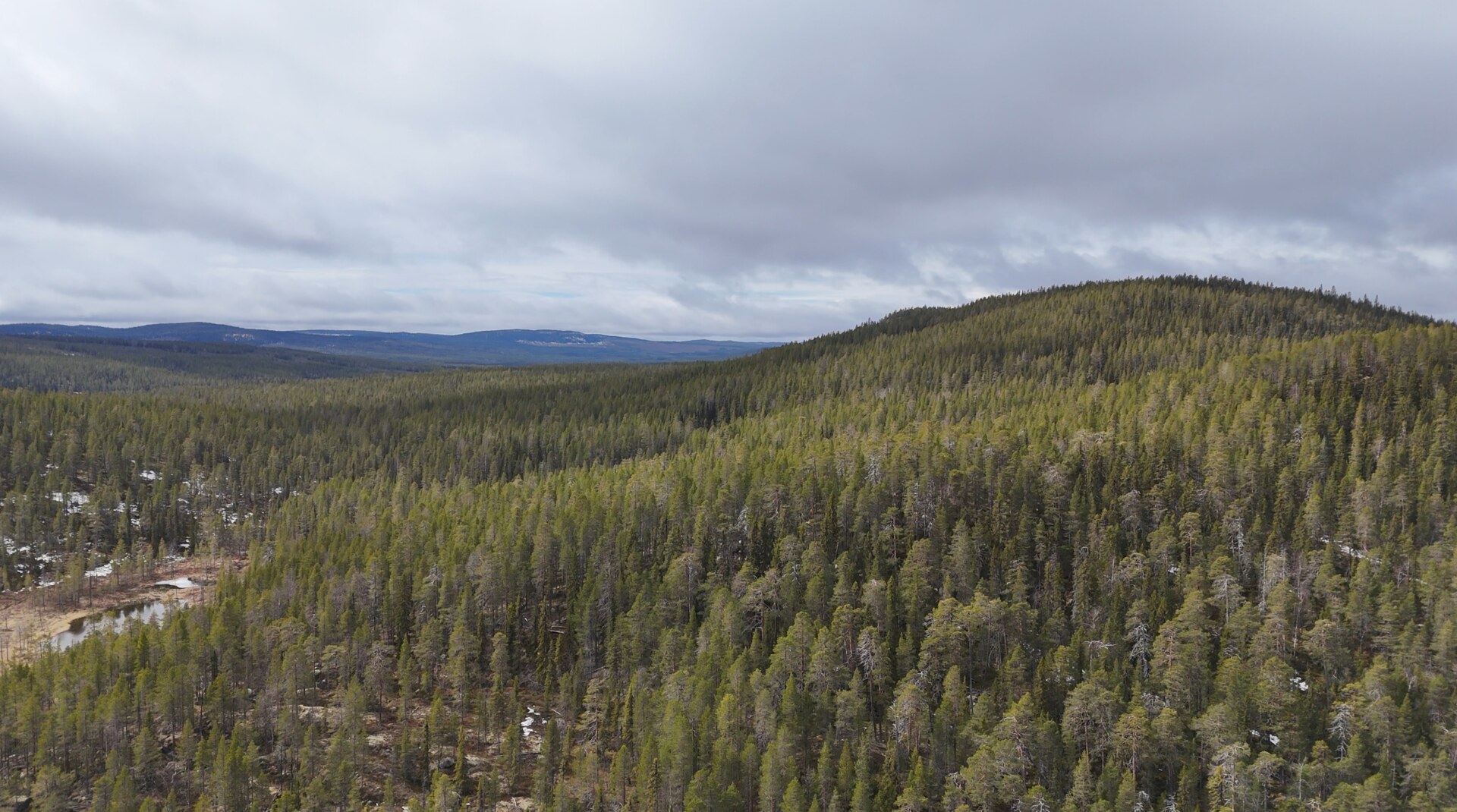 Drönarbild &ouml;ver Stortj&auml;rnhobben.
